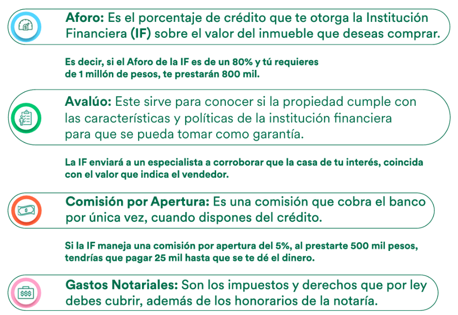 imagen 11